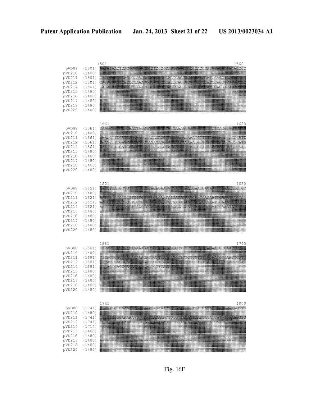 MUTATED REP ENCODING SEQUENCES FOR USE IN AAV PRODUCTION - diagram, schematic, and image 22