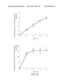 NUCLEIC ACID CONSTRUCT, RECOMBINANT VECTOR, AND RECOMBINANT E. COLI     PRODUCING CHICKEN ANEMIA VIRUS VP1 PROTEIN diagram and image