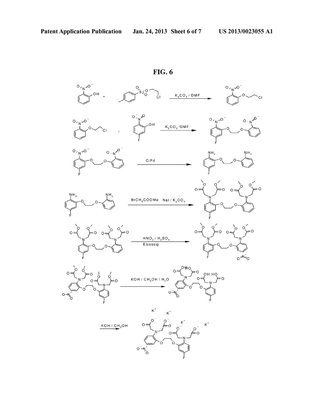 METHODS FOR MEASUREMENT OF CALCIUM IONS - diagram, schematic, and image 07