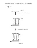 METHOD FOR IMMOBILIZING STREPTAVIDIN ON A SELF-ASSEMBLED MONOLAYER diagram and image