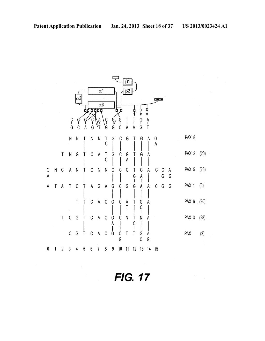 DETECTING PAX2 FOR THE DIAGNOSIS OF BREAST CANCER - diagram, schematic, and image 19