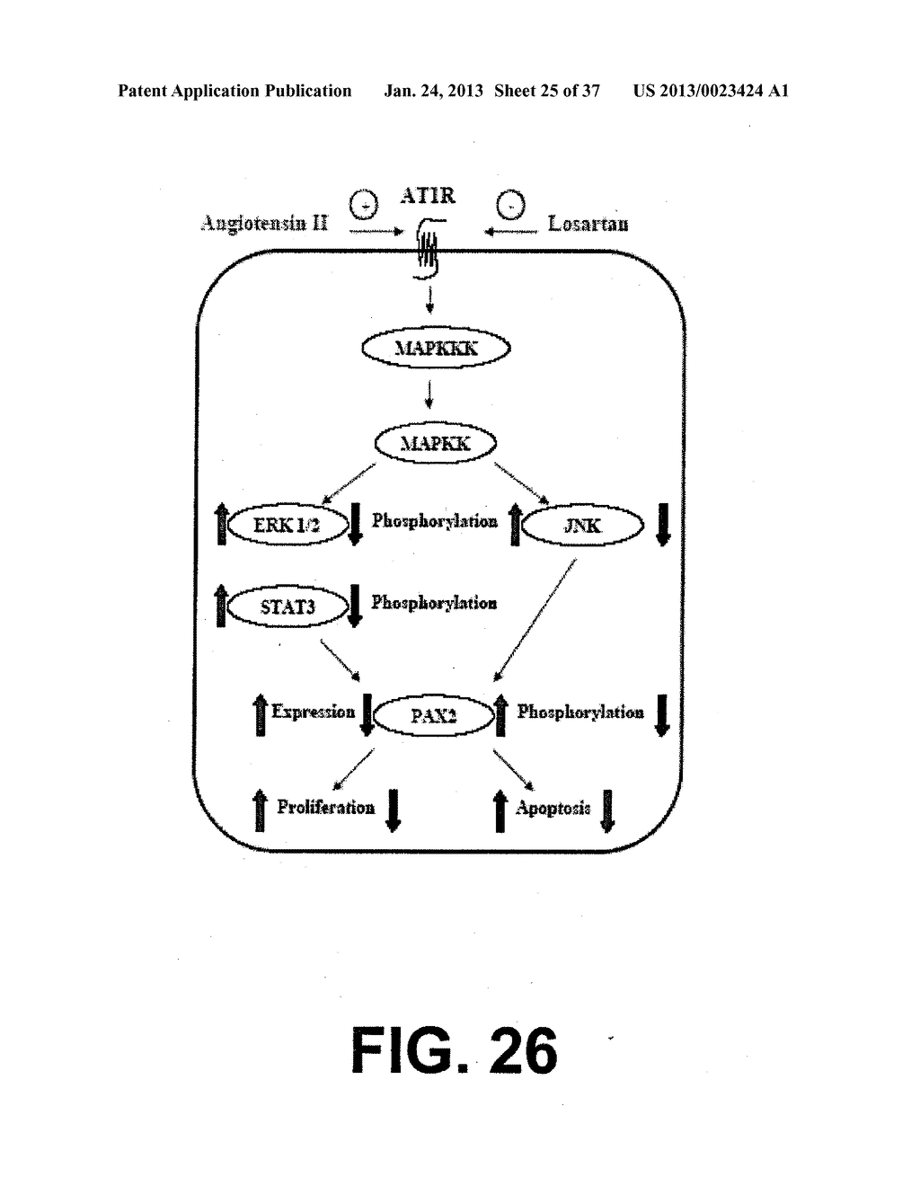 DETECTING PAX2 FOR THE DIAGNOSIS OF BREAST CANCER - diagram, schematic, and image 26