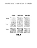 DETECTING PAX2 FOR THE DIAGNOSIS OF BREAST CANCER diagram and image