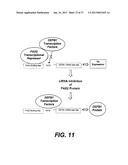 DETECTING PAX2 FOR THE DIAGNOSIS OF BREAST CANCER diagram and image