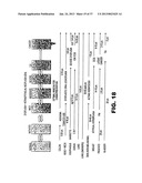 DETECTING PAX2 FOR THE DIAGNOSIS OF BREAST CANCER diagram and image