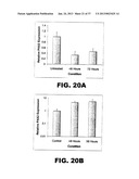 DETECTING PAX2 FOR THE DIAGNOSIS OF BREAST CANCER diagram and image