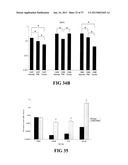 DETECTING PAX2 FOR THE DIAGNOSIS OF BREAST CANCER diagram and image