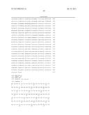 DETECTING PAX2 FOR THE DIAGNOSIS OF BREAST CANCER diagram and image