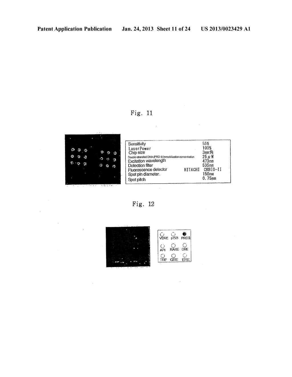 TRANSCRIPTION CHIP - diagram, schematic, and image 12