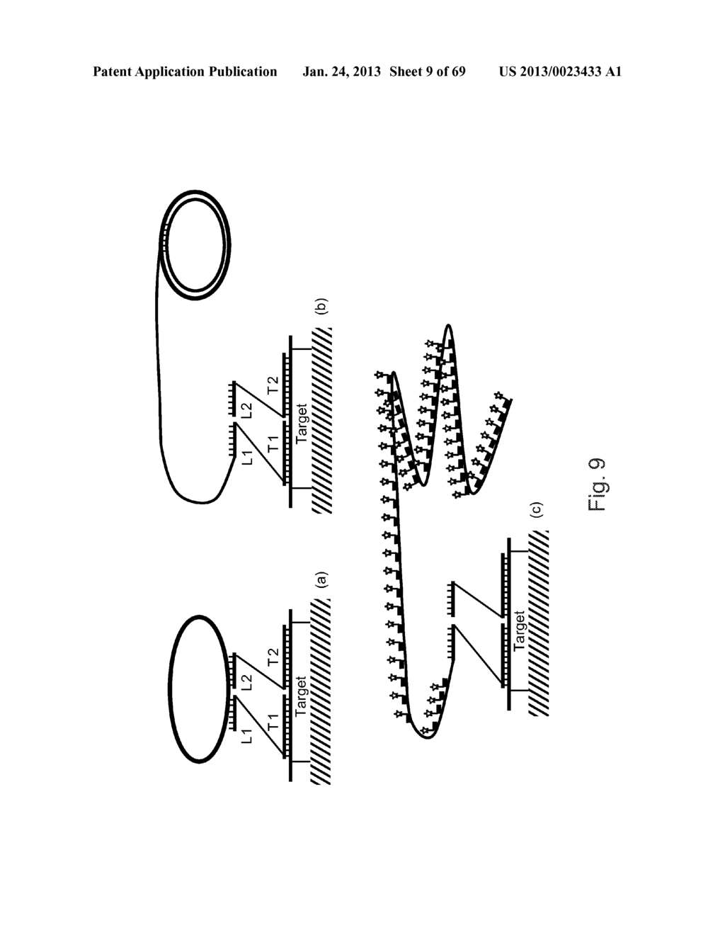 METHODS OF DETECTING NUCLEIC ACID SEQUENCES WITH HIGH SPECIFICITY - diagram, schematic, and image 10