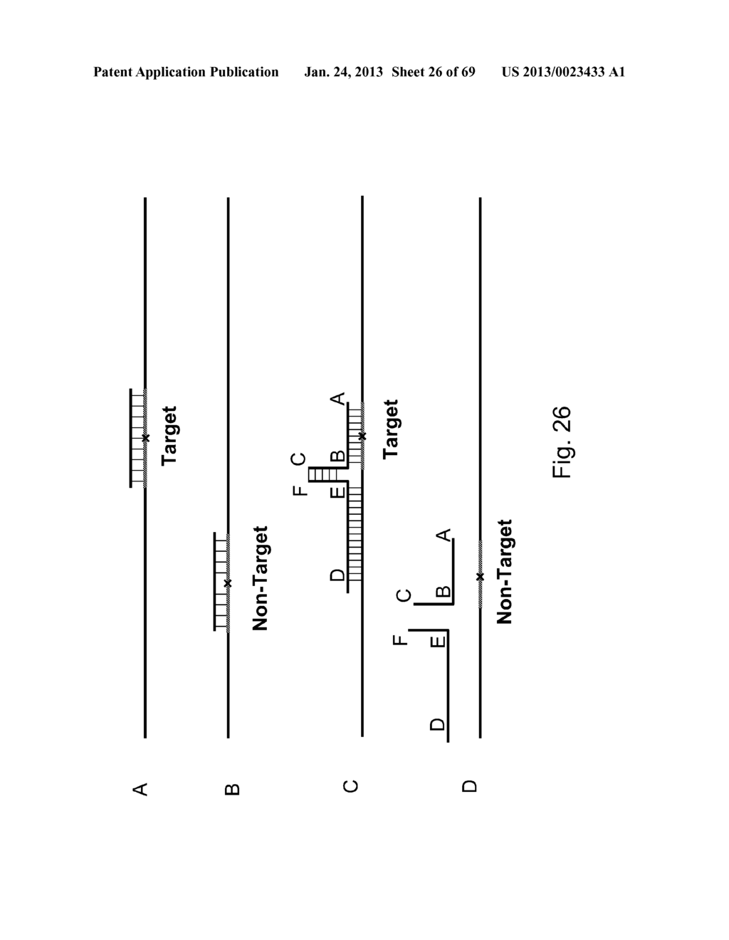 METHODS OF DETECTING NUCLEIC ACID SEQUENCES WITH HIGH SPECIFICITY - diagram, schematic, and image 27