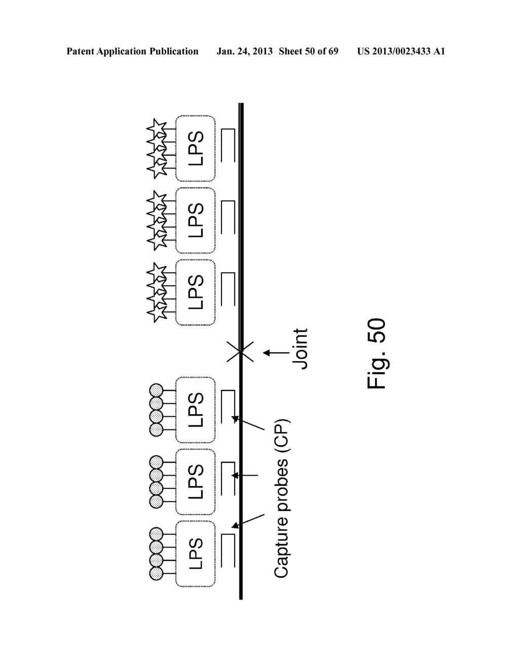 METHODS OF DETECTING NUCLEIC ACID SEQUENCES WITH HIGH SPECIFICITY - diagram, schematic, and image 51