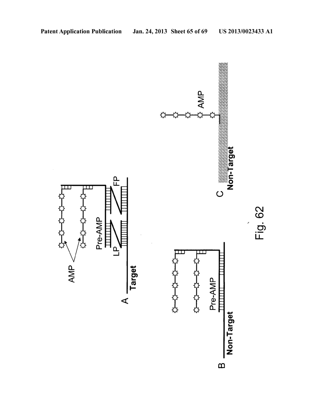 METHODS OF DETECTING NUCLEIC ACID SEQUENCES WITH HIGH SPECIFICITY - diagram, schematic, and image 66