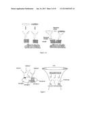 SERS-BASED ANALYTE DETECTION diagram and image