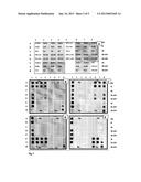 DIMERIC DIAGNOSTIC ARRAYS diagram and image