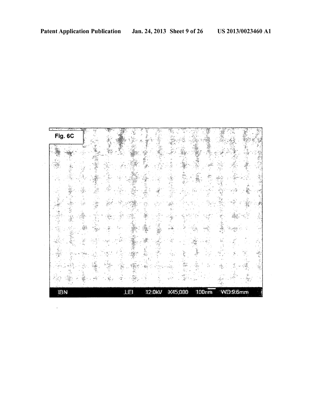 AMPHIPHILIC LINEAR PEPTIDE/PEPTOID AND HYDROGEL COMPRISING THE SAME - diagram, schematic, and image 10