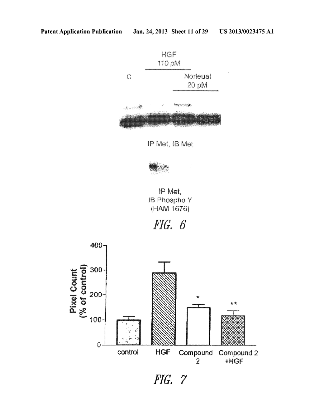 C-MET RECEPTOR REGULATION BY ANGIOTENSIN IV (AT4) RECEPTOR LIGANDS - diagram, schematic, and image 12