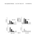 AQUARETIC AND NATRIURETIC POLYPEPTIDES LACKING VASODILATORY ACTIVITY diagram and image