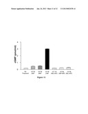 AQUARETIC AND NATRIURETIC POLYPEPTIDES LACKING VASODILATORY ACTIVITY diagram and image