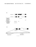 Adenovirus E1A Fragments for Use in Anti-Cancer Therapies diagram and image