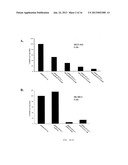 Adenovirus E1A Fragments for Use in Anti-Cancer Therapies diagram and image