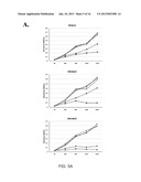 Adenovirus E1A Fragments for Use in Anti-Cancer Therapies diagram and image