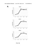 Adenovirus E1A Fragments for Use in Anti-Cancer Therapies diagram and image