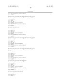 Adenovirus E1A Fragments for Use in Anti-Cancer Therapies diagram and image