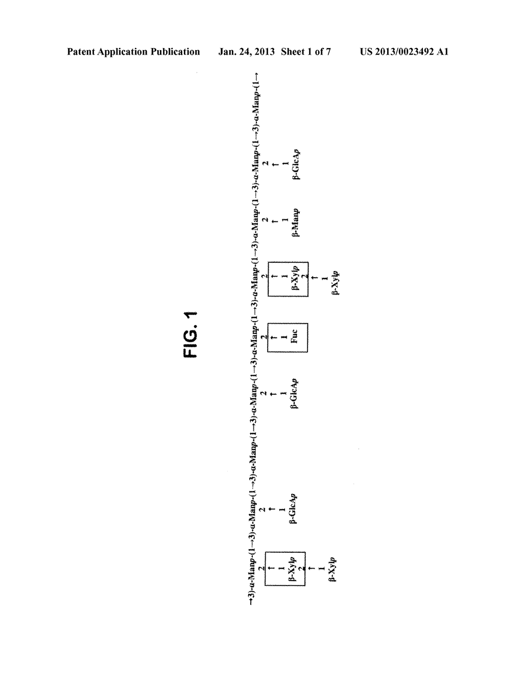 PHARMACEUTICAL COMPOSITIONS COMPRISING PLANT-BASED POLYSACCHARIDES AND     USES THEREOF - diagram, schematic, and image 02