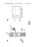 NOVEL SELECTIVE INHIBITORS OF UBIQUITIN SPECIFIC PROTEASE 7, THE     PHARMACEUTICAL COMPOSITIONS THEREOF AND THEIR THERAPEUTIC APPLICATIONS diagram and image