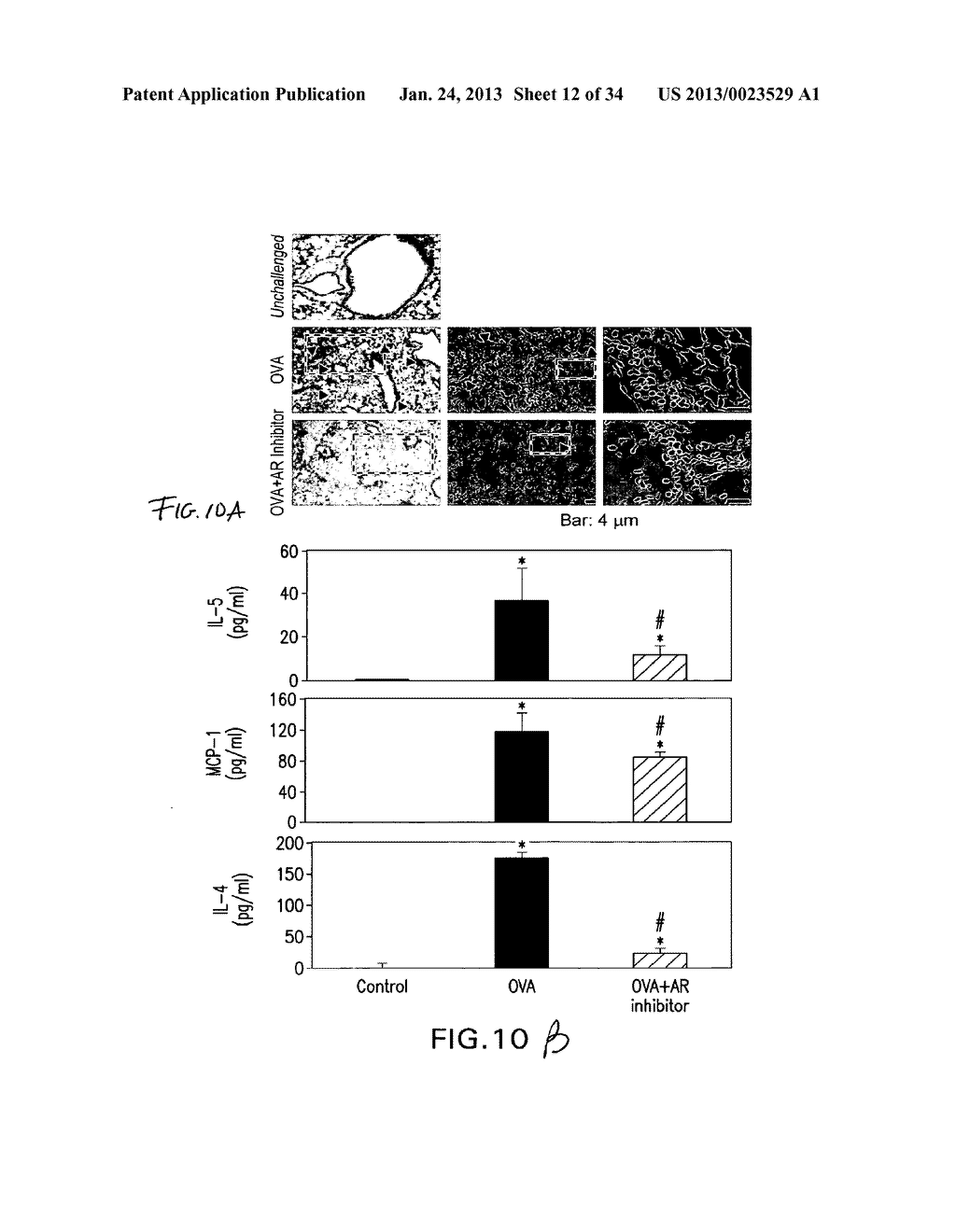 Methods Involving Aldose Reductase Inhibitors - diagram, schematic, and image 13