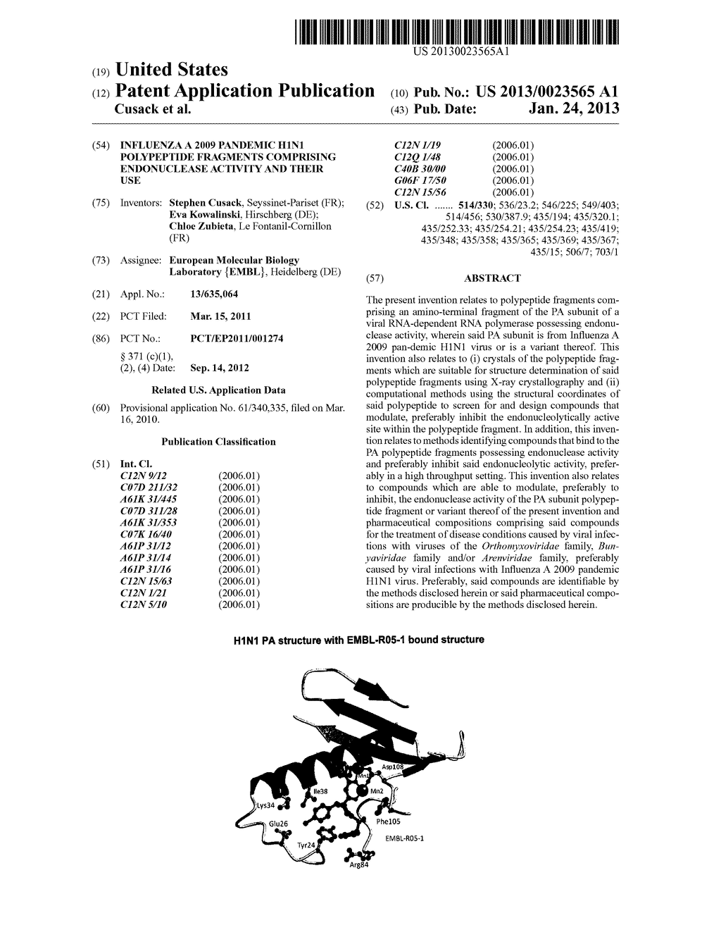 INFLUENZA A 2009 PANDEMIC H1N1 POLYPEPTIDE FRAGMENTS COMPRISING     ENDONUCLEASE ACTIVITY AND THEIR USE - diagram, schematic, and image 01