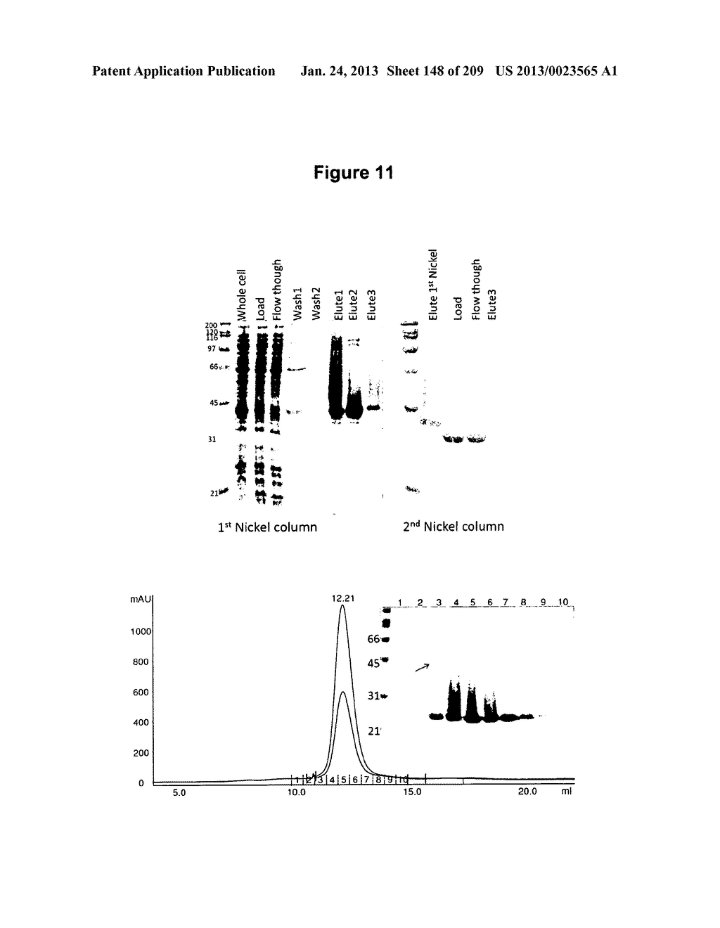 INFLUENZA A 2009 PANDEMIC H1N1 POLYPEPTIDE FRAGMENTS COMPRISING     ENDONUCLEASE ACTIVITY AND THEIR USE - diagram, schematic, and image 149