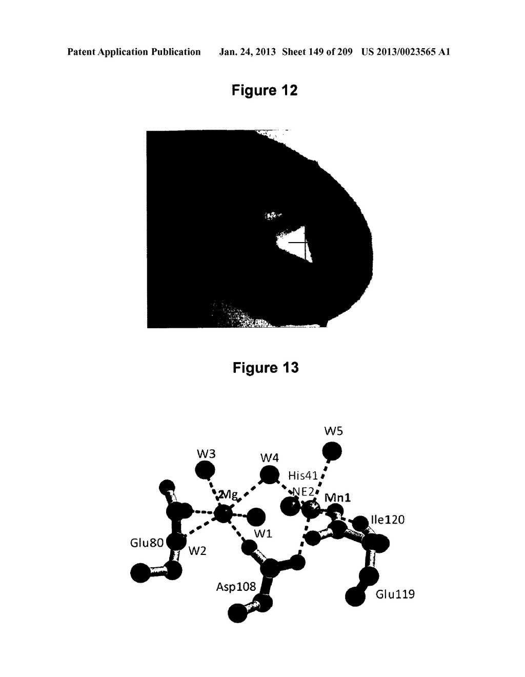 INFLUENZA A 2009 PANDEMIC H1N1 POLYPEPTIDE FRAGMENTS COMPRISING     ENDONUCLEASE ACTIVITY AND THEIR USE - diagram, schematic, and image 150