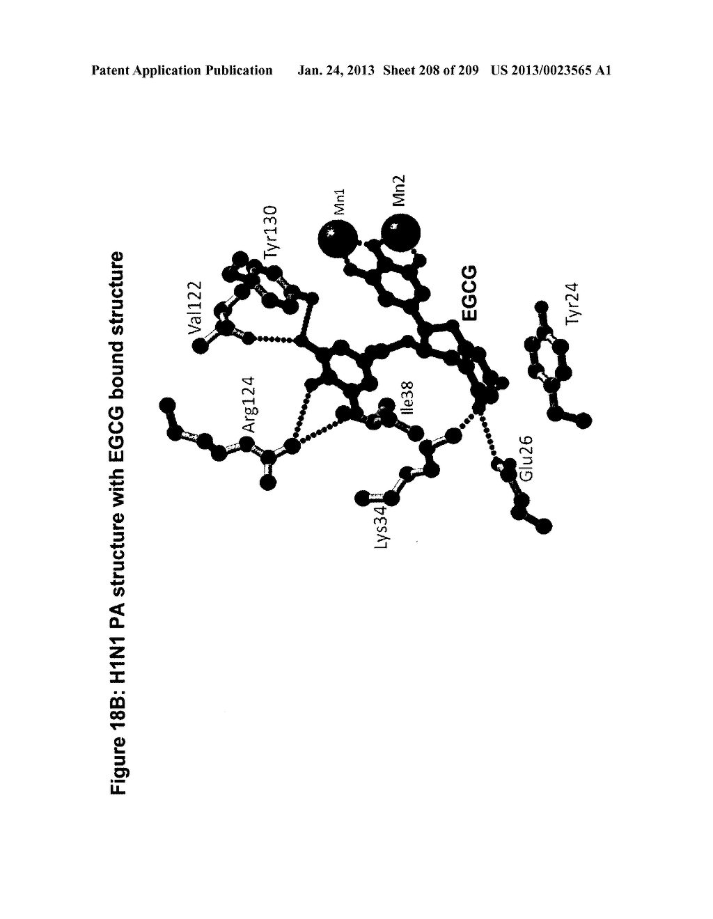 INFLUENZA A 2009 PANDEMIC H1N1 POLYPEPTIDE FRAGMENTS COMPRISING     ENDONUCLEASE ACTIVITY AND THEIR USE - diagram, schematic, and image 209