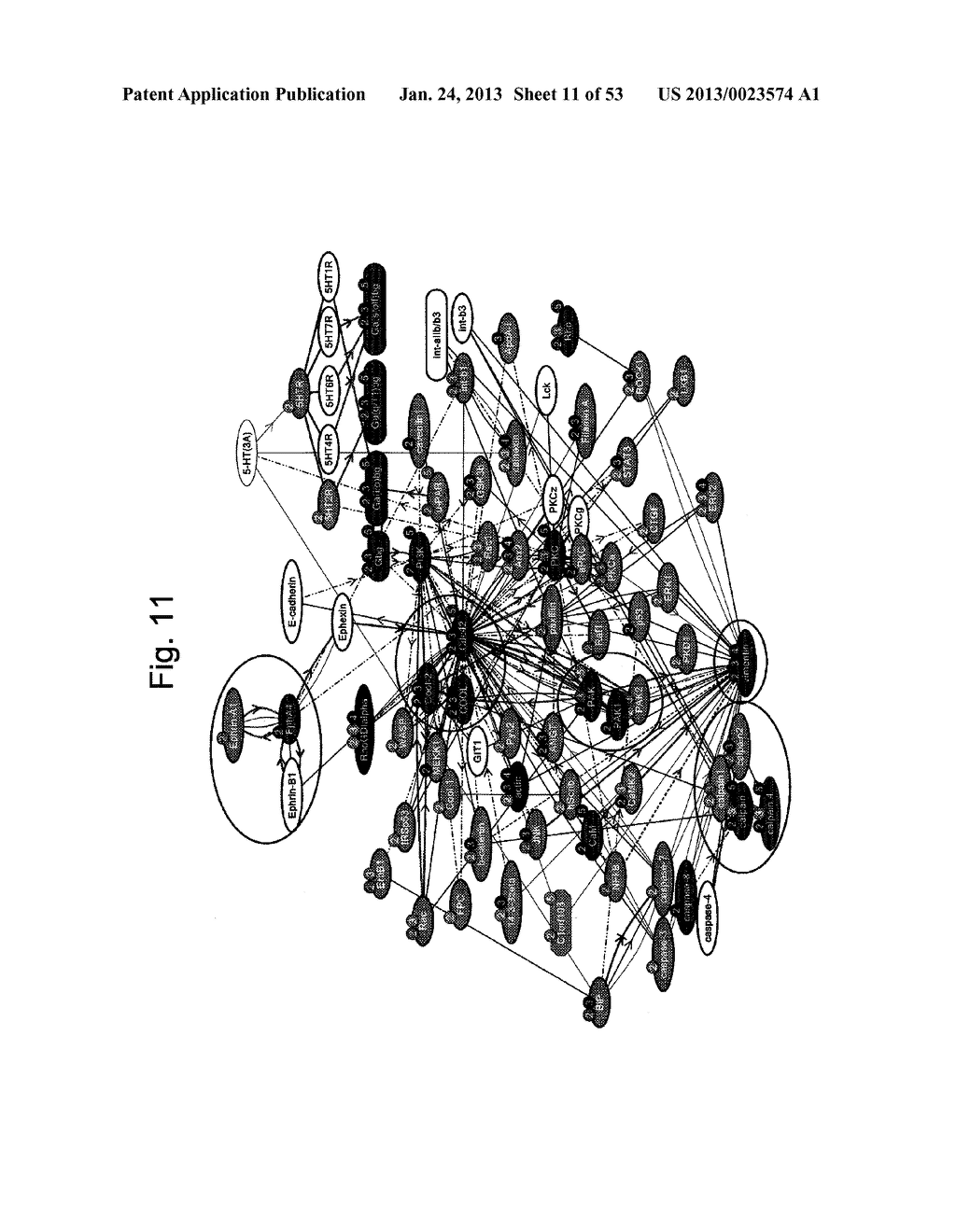 METHOD FOR GENERATING DATA SET FOR INTEGRATED PROTEOMICS, INTEGRATED     PROTEOMICS METHOD USING DATA SET FOR INTEGRATED PROTEOMICS THAT IS     GENERATED BY THE GENERATION METHOD, AND METHOD FOR IDENTIFYING CAUSATIVE     SUBSTANCE USING SAME - diagram, schematic, and image 12