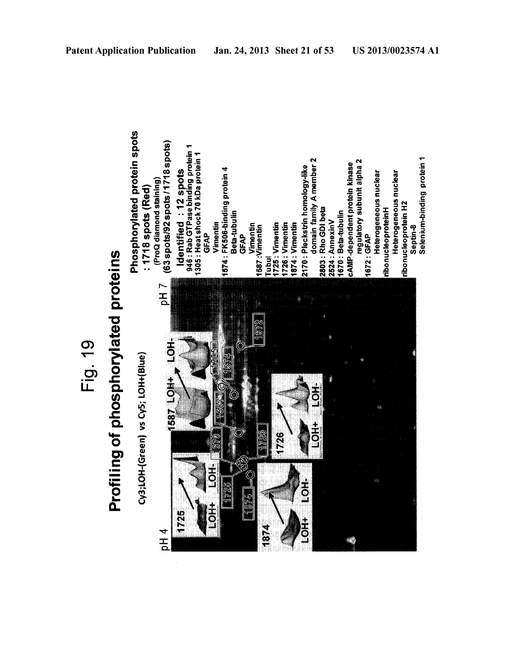 METHOD FOR GENERATING DATA SET FOR INTEGRATED PROTEOMICS, INTEGRATED     PROTEOMICS METHOD USING DATA SET FOR INTEGRATED PROTEOMICS THAT IS     GENERATED BY THE GENERATION METHOD, AND METHOD FOR IDENTIFYING CAUSATIVE     SUBSTANCE USING SAME - diagram, schematic, and image 22