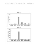 siRNA for inhibition of c-Met expression and anticancer composition     containing the same diagram and image