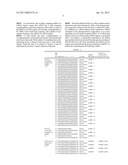 siRNA for inhibition of c-Met expression and anticancer composition     containing the same diagram and image