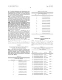 siRNA for inhibition of c-Met expression and anticancer composition     containing the same diagram and image