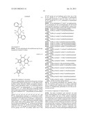 Vinyl Terminated Higher Olefin Polymers and Methods to Produce Thereof diagram and image