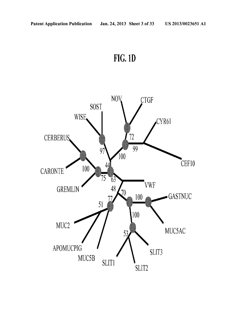 PEPTIDES FOR TREATMENT AND DIAGNOSIS OF BONE DISEASES - diagram, schematic, and image 04