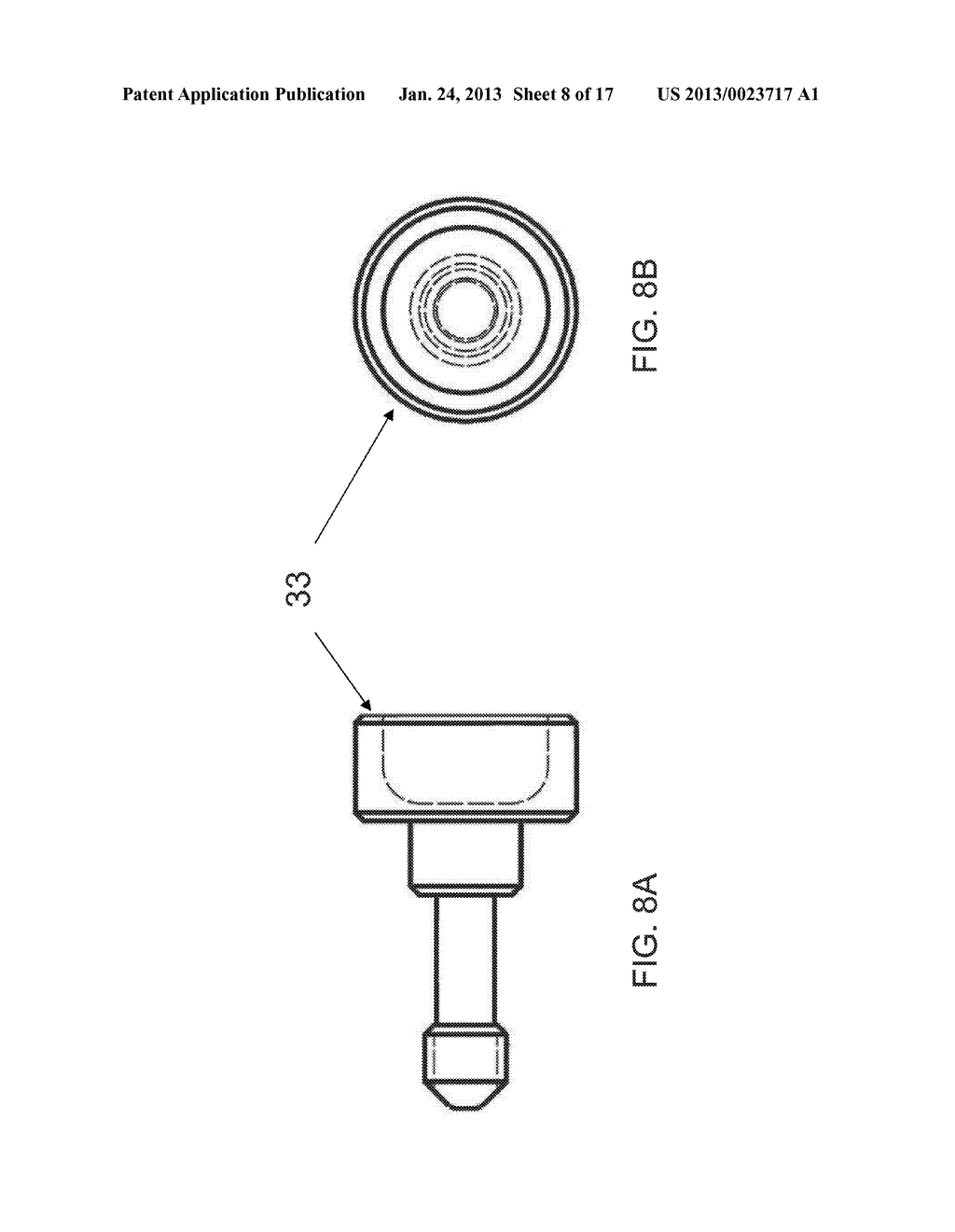 Bladder and/or Rectum Extender with Exchangeable and/or Slideable Tungsten     Shield - diagram, schematic, and image 09