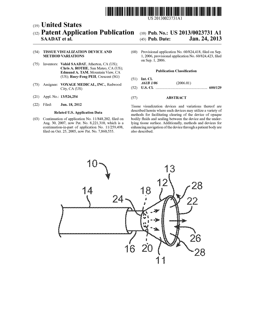 TISSUE VISUALIZATION DEVICE AND METHOD VARIATIONS - diagram, schematic, and image 01