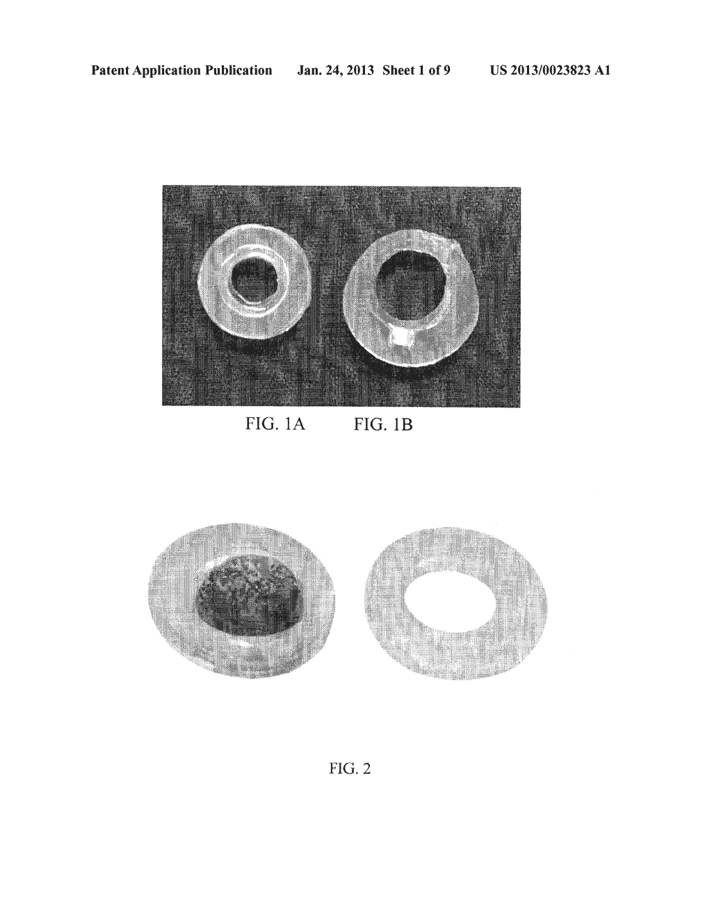 IMPLANTABLE THERAPEUTIC DEVICE AND METHODS OF MAKING - diagram, schematic, and image 02