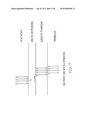 PRIORITIZING DATA PACKETS ASSOCIATED WITH APPLICATIONS RUNNING IN A     NETWORKED COMPUTING ENVIRONMENT diagram and image