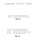 METHOD AND APPARATUS FOR REALTIME DETECTION OF HEAP MEMORY CORRUPTION BY     BUFFER OVERRUNS diagram and image