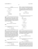 PROCESSING VECTORS USING WRAPPING NEGATION INSTRUCTIONS IN THE MACROSCALAR     ARCHITECTURE diagram and image