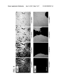 EXHAUST GAS PURIFICATION FILTER, AND METHOD OF MANUFACTURING EXHAUST GAS     PURIFICATION FILTER diagram and image