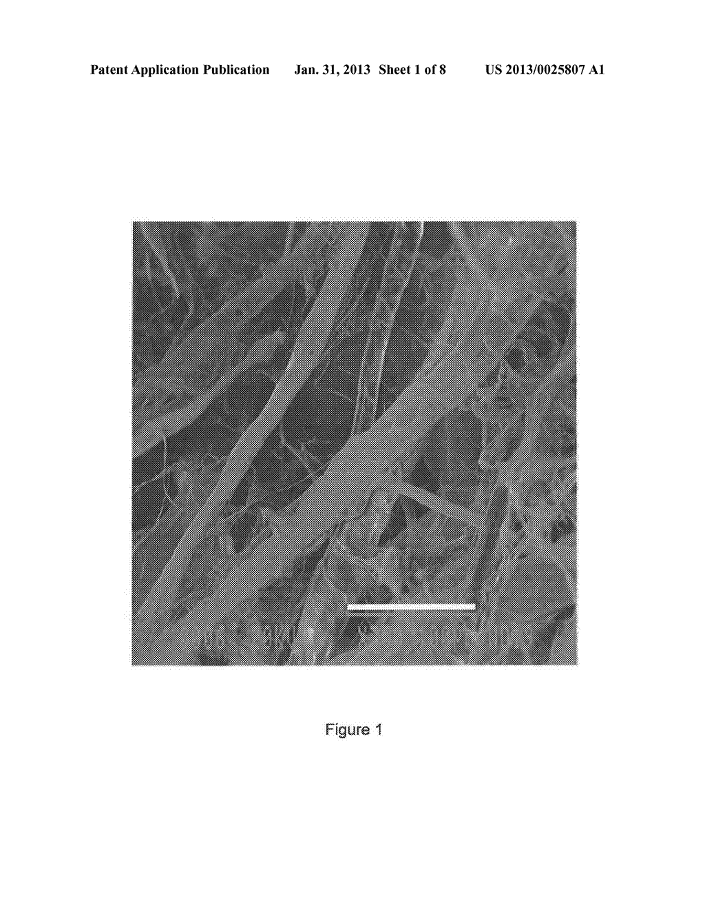 PROCESS FOR PRODUCTION OF OXIDISED CELLULOSE PULP - diagram, schematic, and image 02